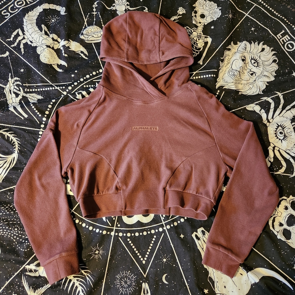 Alphalete Identity Brown Cropped Women's Sweatshirt size Small
